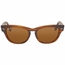 Ray Ban RB4169 820 53  Ladies  Sunglasses