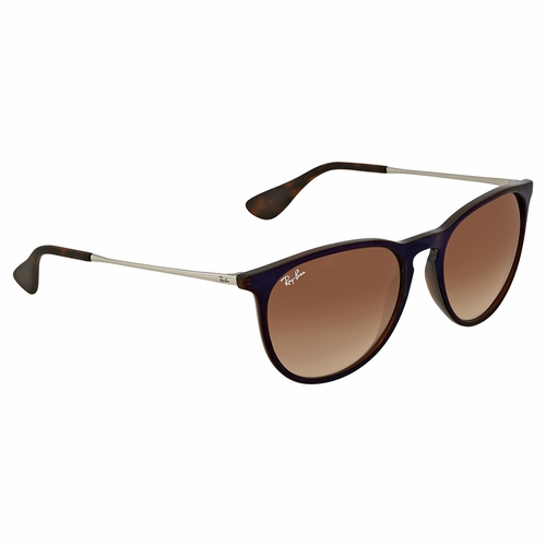 Ray Ban RB4171 631513 54 Erika Classic Unisex  Sunglasses