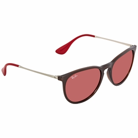 Ray Ban RB4171 6339D0 54 Erika Color Mix Unisex  Sunglasses