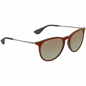 Ray Ban RB41716316E854 Erika Ladies  Sunglasses