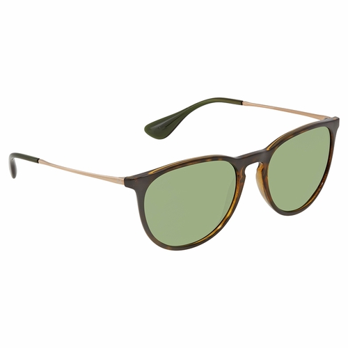 Ray Ban RB41716393254 Erika Color Mix Ladies  Sunglasses