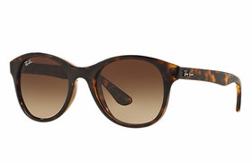 Ray Ban RB4203 710/13 51  Unisex  Sunglasses