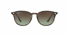 Ray Ban RB4259731/E851  Unisex  Sunglasses