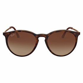 Ray Ban RB4274 856/13 53 Erika Mens  Sunglasses