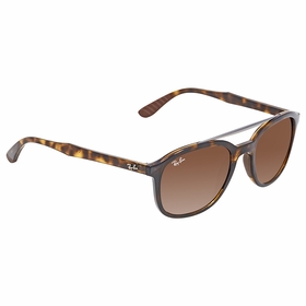 Ray Ban RB4290 710/13 53  Unisex  Sunglasses