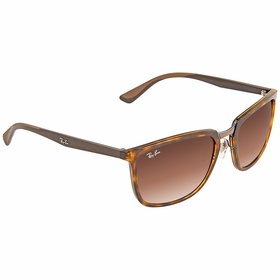 Ray Ban RB4303 710/1357    Sunglasses