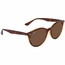 Ray Ban RB4305 710/73 53 RB4305   Sunglasses