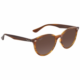 Ray Ban RB4305 820/7353    Sunglasses
