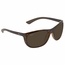 Ray Ban RB4307 710/8361    Sunglasses