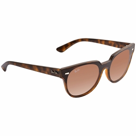 Ray Ban RB4368N 710/1339 Blaze Meteor   Sunglasses