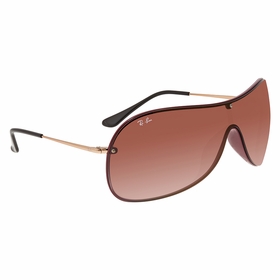 Ray Ban RB441164240T41 RB4411   Sunglasses