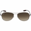 Ray Ban RB8301 004/51 56  Mens  Sunglasses