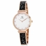 Roberto Bianci RB0204 Brillare Ladies Quartz Watch
