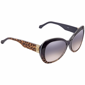 Roberto Cavalli RC1040 92X 56 Cavriglia Sunglasses Roberto Cavalli RC1040 92X 56 Cavriglia Sunglasses