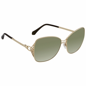 Roberto Cavalli RC106032P61 GAMBASSI Ladies Sunglasses Roberto Cavalli RC106032P61 GAMBASSI Ladies Sunglasses