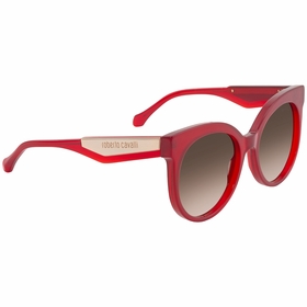 Roberto Cavalli RC1098 69F 55 Ladies Sunglasses Roberto Cavalli RC1098 69F 55 Ladies Sunglasses