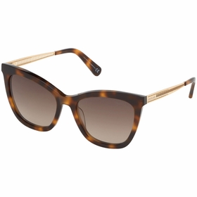 Roberto Cavalli RC1112 72F 55 Ladies Sunglasses Roberto Cavalli RC1112 72F 55 Ladies Sunglasses