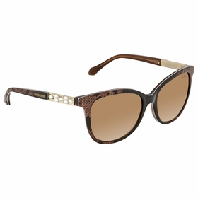 Roberto Cavalli RC904S MERAK MERAK 50G 55 Merak Sunglasses Roberto Cavalli RC904S MERAK MERAK 50G 55 Merak Sunglasses