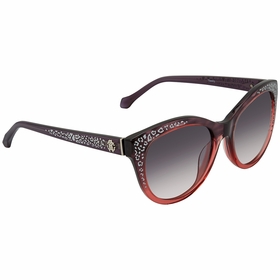 Roberto Cavalli RC992S 83B 55 Ladies Sunglasses Roberto Cavalli RC992S 83B 55 Ladies Sunglasses
