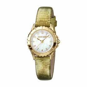 Roberto Cavalli RV1L049L0036  Ladies Quartz Watch