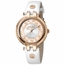 Roberto Cavalli RV1L053L0036  Ladies Quartz Watch