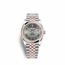 Rolex 126201GYRJ Datejust 36  Automatic Watch