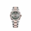Rolex 126231GYRO Datejust 36  Automatic Watch