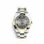 Rolex 126233GYRO Datejust 36  Automatic Watch