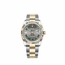 Rolex 126283GYRO Datejust 36  Automatic Watch