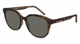 Saint Laurent SL 317/F00255  Ladies  Sunglasses