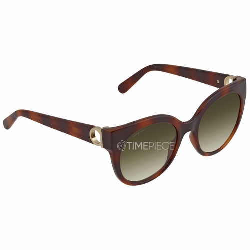 Salvatore Ferragamo SF1031S 214 53  Ladies  Sunglasses