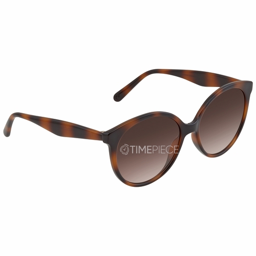 Salvatore Ferragamo SF1071S 240 58  Ladies  Sunglasses