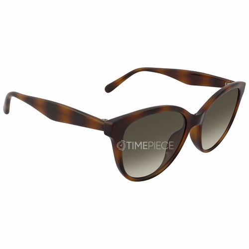 Salvatore Ferragamo SF1073S 240 54 Ladies Sunglasses Salvatore Ferragamo SF1073S 240 54 Ladies Sunglasses