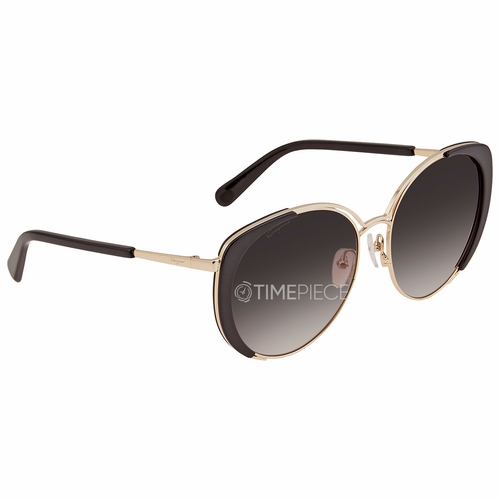 Salvatore Ferragamo SF207S 733 6017  Ladies  Sunglasses
