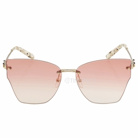 Salvatore Ferragamo SF223S 736 62  Ladies  Sunglasses