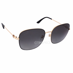 Salvatore Ferragamo SF257SK 733 60  Ladies  Sunglasses