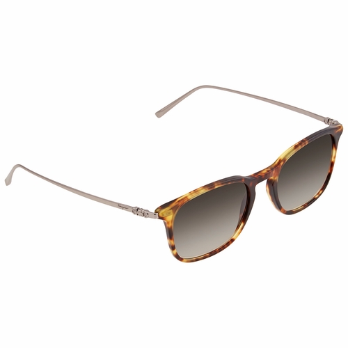 Salvatore Ferragamo SF2846S 219 53  Unisex  Sunglasses
