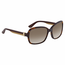 Salvatore Ferragamo SF606S 214  Ladies  Sunglasses