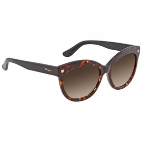 Salvatore Ferragamo SF675S 214 55 SF675S Ladies  Sunglasses