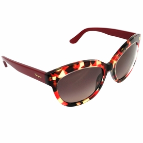 Salvatore Ferragamo SF675S 609 55  Ladies  Sunglasses