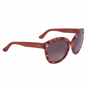 Salvatore Ferragamo SF677S 215 55  Ladies  Sunglasses