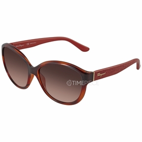 Salvatore Ferragamo SF717S 207 58  Ladies  Sunglasses