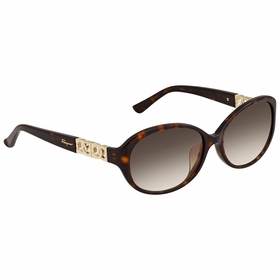 Salvatore Ferragamo SF736SA 214 57    Sunglasses