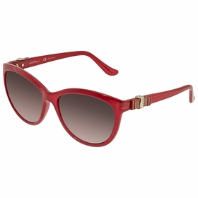 Salvatore Ferragamo SF760S613  Ladies  Sunglasses