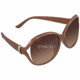 Salvatore Ferragamo SF770SA 665 61  Ladies  Sunglasses