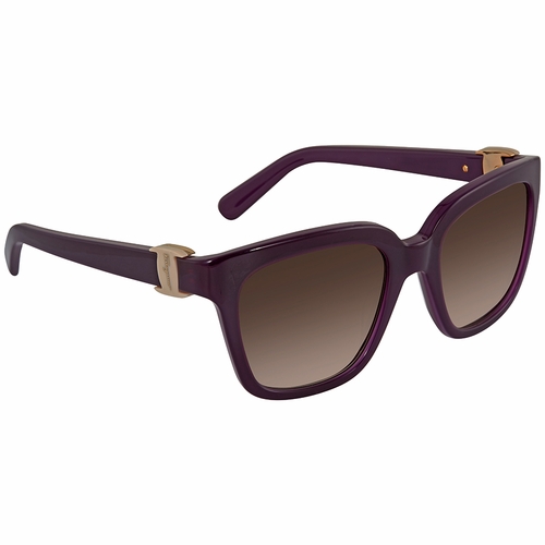 Salvatore Ferragamo SF782S505  Ladies  Sunglasses