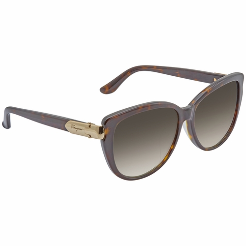 Salvatore Ferragamo SF797SA 214 59 SF797SA Ladies  Sunglasses