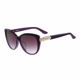 Salvatore Ferragamo SF797SA 513 59  Ladies  Sunglasses