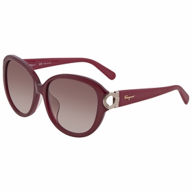 Salvatore Ferragamo SF802SA60358    Sunglasses