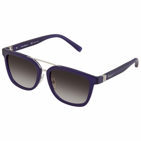 Salvatore Ferragamo SF809SA 454 56    Sunglasses